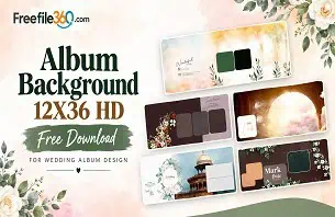 Album Background 12X36 HD