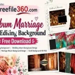 Album Marriage Photo Editing Background